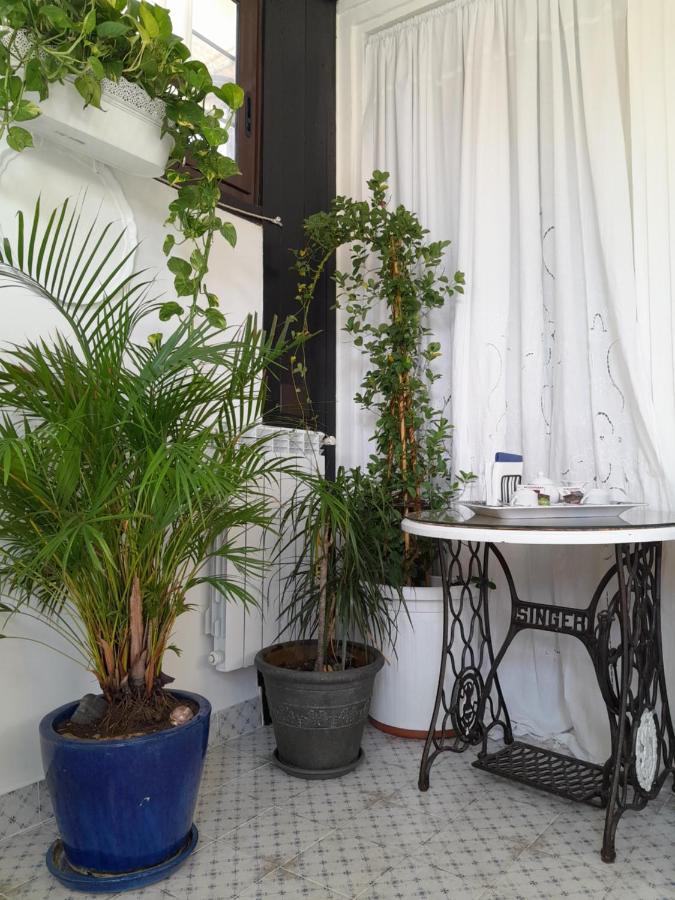 B&B Lido Liberty Lido di Ostia Exteriör bild