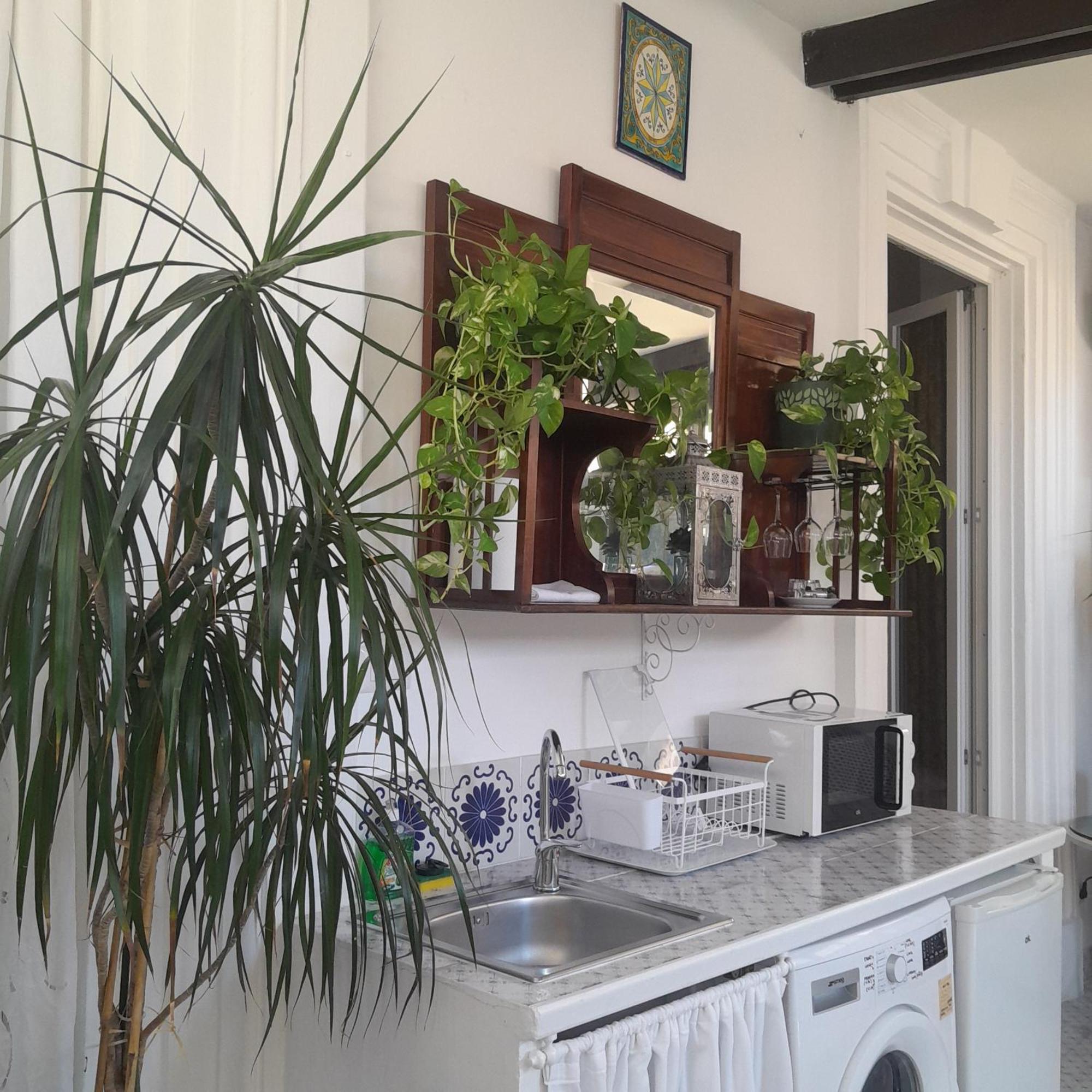 B&B Lido Liberty Lido di Ostia Exteriör bild